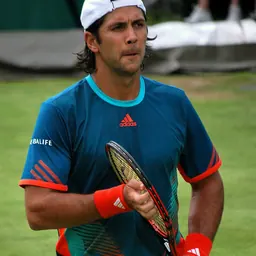 Portrait of Fernando Verdasco