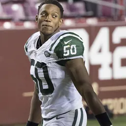 Portrait of Darron Lee
