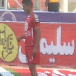 Portrait of Milad Gharibi