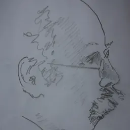 Portrait of Napier Shaw