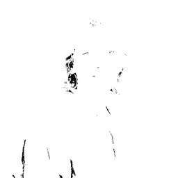 Portrait of Pia Dijkstra