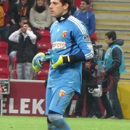 Portrait of Nicolás Navarro