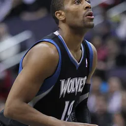 Portrait of Wayne Ellington
