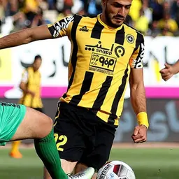 Portrait of Reza Dehghani