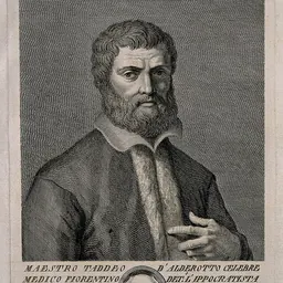 Portrait of Taddeo Alderotti