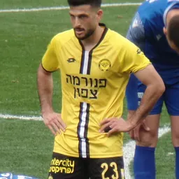 Portrait of Yuval Ashkenazi