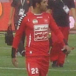Portrait of Mehrzad Madanchi