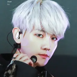 Portrait of Byun Baek-hyun