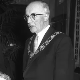 Portrait of Gerard van Walsum