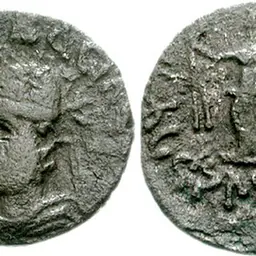 Portrait of Sarpedones