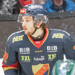 Portrait of Emil Bemström
