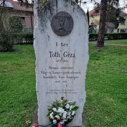 Portrait of Géza Tóth