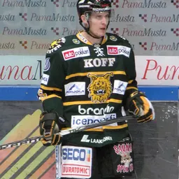 Portrait of Teemu Kesä