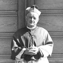 Portrait of Maturino Blanchet
