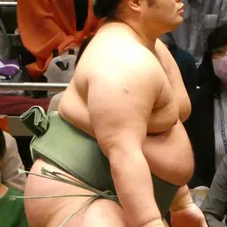 Portrait of Takakento Terutora
