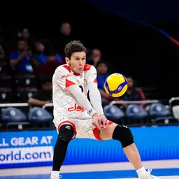 Portrait of Arman Salehi