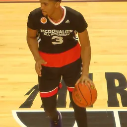 Portrait of Dedric Lawson