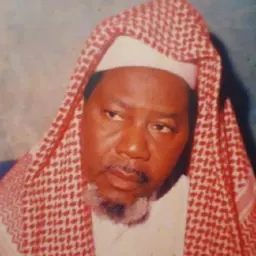 Portrait of Isma'il bn Zakariyya