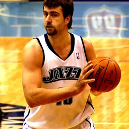 Portrait of Mehmet Okur