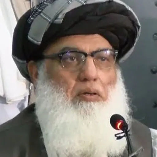 Portrait of Atta ur Rehman