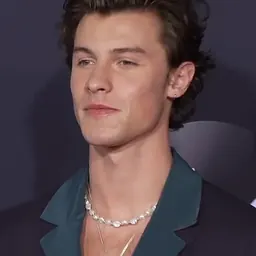 Portrait of Shawn Mendes