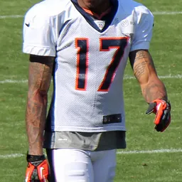 Portrait of Andre Caldwell