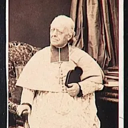 Portrait of Pierre Louis Parisis