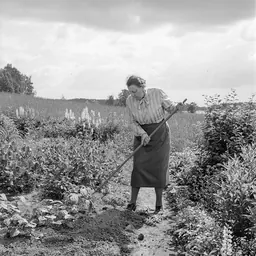Portrait of Elsa Bonsdorff