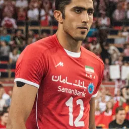 Portrait of Mojtaba Mirzajanpour