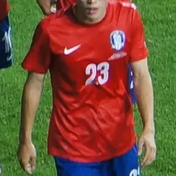 Portrait of Han Kook-young