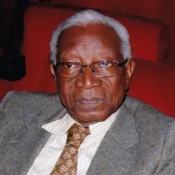 Portrait of Timité Bassori