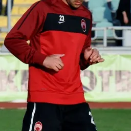 Portrait of Ivan Rodić