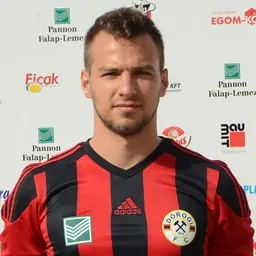 Portrait of Dániel Hauser