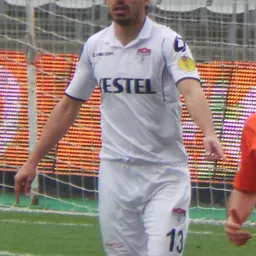 Portrait of Nikola Mikić