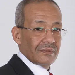 Portrait of Ibrahim Salem