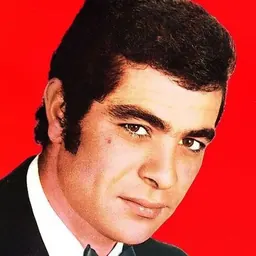 Portrait of Behrouz Vossoughi