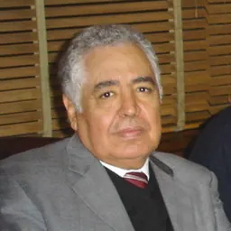 Portrait of Ahmed Fagih