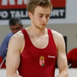 Portrait of Vid Hidvégi