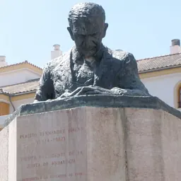 Portrait of Plácido Fernández Viagas