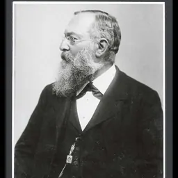 Portrait of Friedrich Goppelsroeder