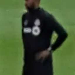 Portrait of Robin Fraser