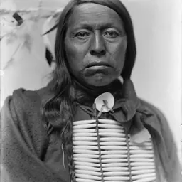 Portrait of Flying Hawk