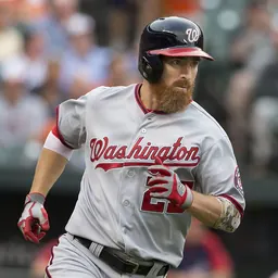 Portrait of Adam LaRoche