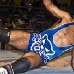 Portrait of Blue Panther