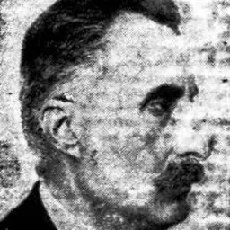 Portrait of Miloš Trifunović