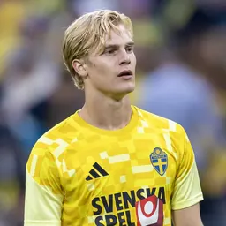 Portrait of Lucas Bergvall
