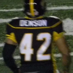 Portrait of Brandon Denson