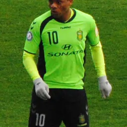 Portrait of Luís Henrique da Silva Alves