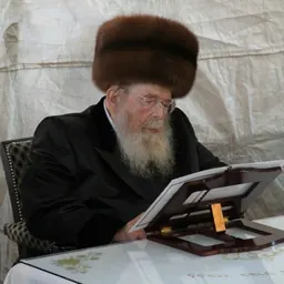 Portrait of Avrohom Yaakov Friedman