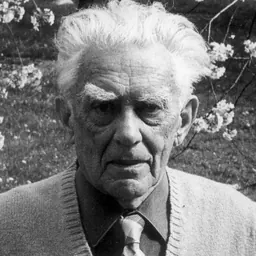 Portrait of Vladimír Karfík